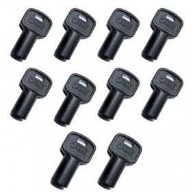 La clave de la Liberación se produjo Tres lóbulos 10 piezas 119RIY077