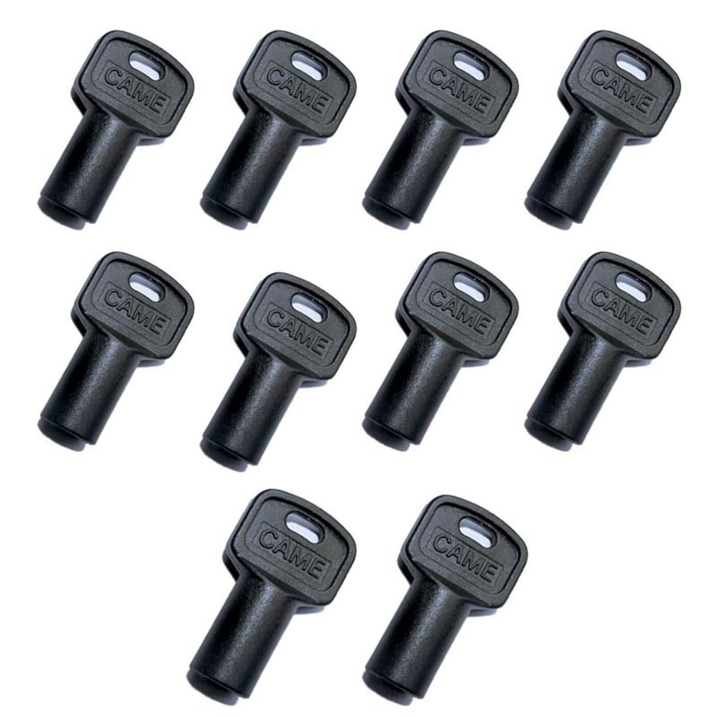 La clave de la Liberación se produjo Tres lóbulos 10 piezas 119RIY077