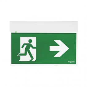 Lampe notfall-flagge Schneider ExEasysign 24 M, WENN-SA OVA38250