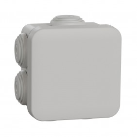 Scatola Schneider di derivazione IP55 65X65X45...