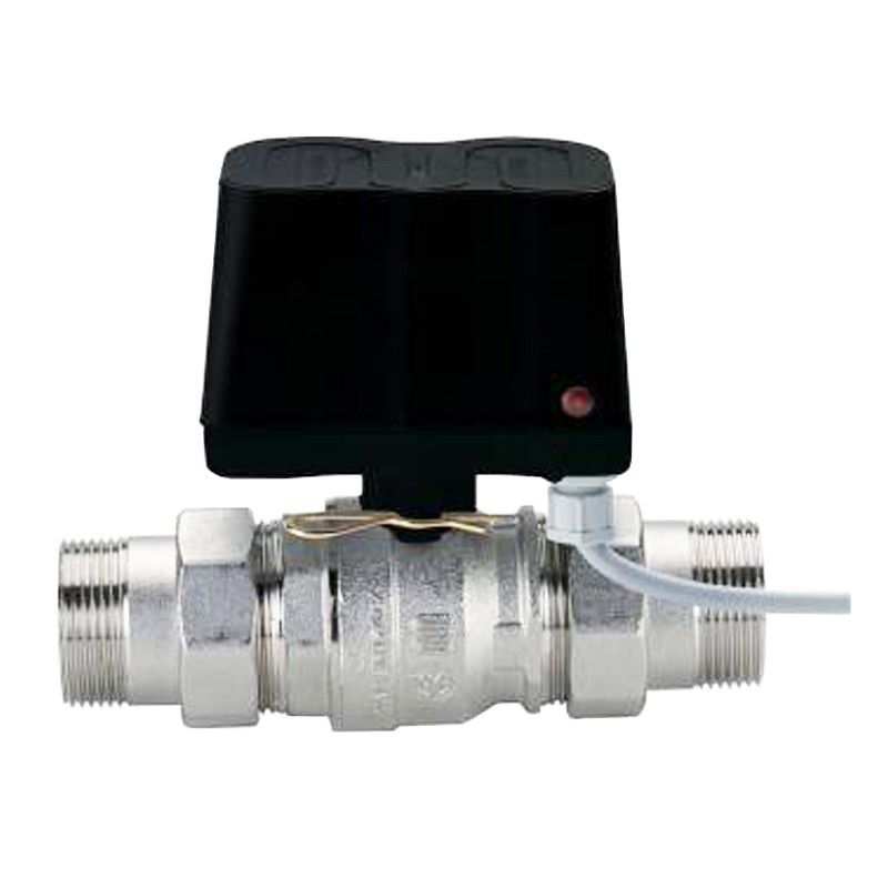 Motorized Ball valve Enolgas 2-Way 1x1/4 60 seconds S2285N07