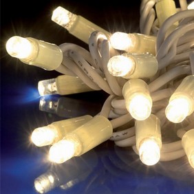 Serie Luci Natalizie Wimex 60 LED luce calda con Flash 4501315