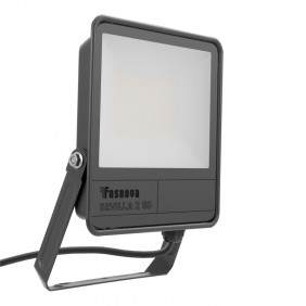 Fosnova Disano LED Floodlight 50W 6500K 5500...