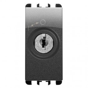 Key Switch Urmet Simon Nea 2P with keys steel...