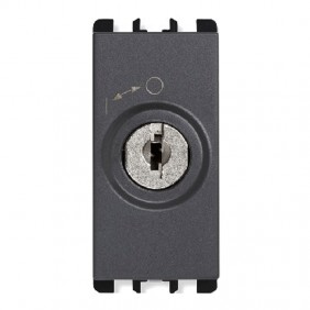 Urmet Simon Nea 2P key switch with keys...
