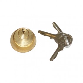 Faac internal cylinder for electric lock 712650...