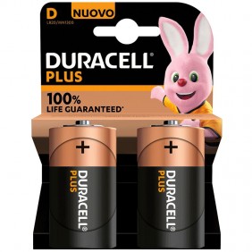 Batteria Torcia Duracell MN1300 1,5V Blister da...
